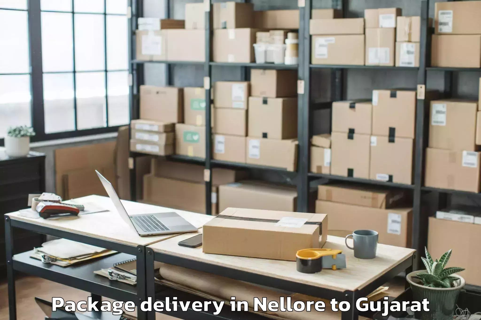 Easy Nellore to Gujarat University Of Transpla Package Delivery Booking